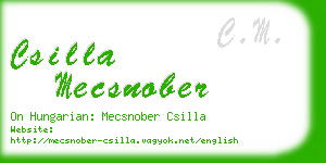 csilla mecsnober business card